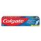 Colgate T/Paste x 100g (G/Reg. Flav)