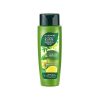 Follow Me Green Tea Shampoo x 70ml (Scalp Fresh)