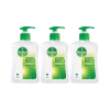 Dettol H/Wash 3x250ml (Ori)