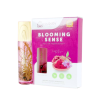 Youbaby Roll On Aromatheraphy x 10ml (Blooming Sense)